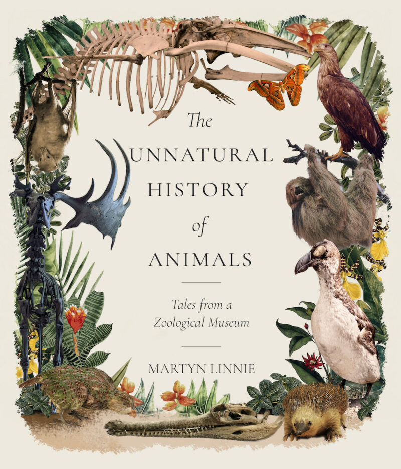 The Unnatural History of Animals by Dr Martyn Linnie